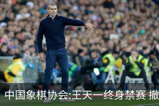 中国象棋协会:王天一终身禁赛 撤销特大等称号